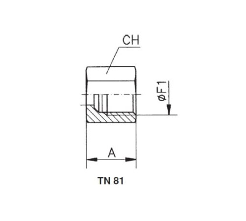 Накидные гайки TN81 и врезные кольца TN88 в Светлогорске
