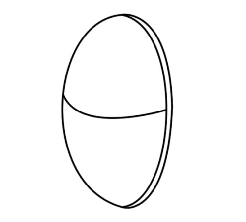 Оболочки защитные съемные для изоляции труб в Светлогорске